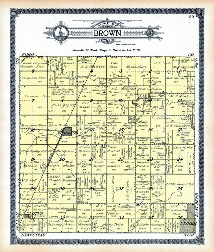 无人,竖图,地图,褐色,历史,古董,伊利诺斯州,彩图,地图学