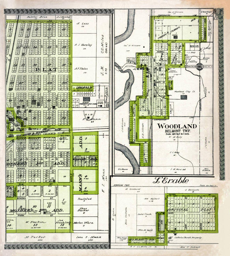 无人,竖图,树林,地图,历史,古董,伊利诺斯州,彩图,地图学