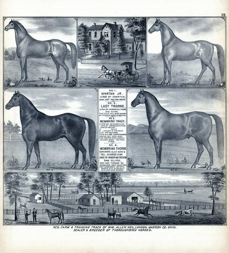 竖图,插画,室外,数码,科技,马,阴影,网络,高光,几何,计算机图形,合成,图画,历史,画,古董,电脑合成图,数码合成图,合成图,漫画,俄亥俄州,写实,具体,具象,彩图,麦迪逊县