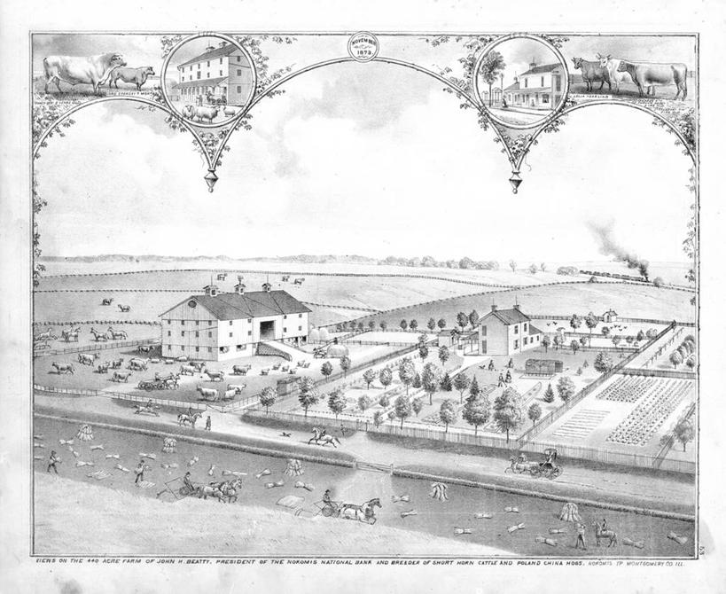 农场,横图,室外,牧场,路,铁路,火车,房屋,田地,马车,轨道,交通,铁轨,历史,棚,动物,运输,牲畜,古董,伊利诺斯州,农舍,彩图