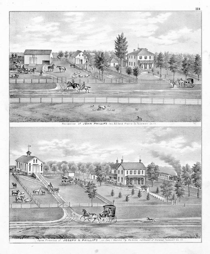 农场,竖图,美景,路,房屋,景观,历史,自然,家畜,景色,古董,自然风光,伊利诺斯州,彩图