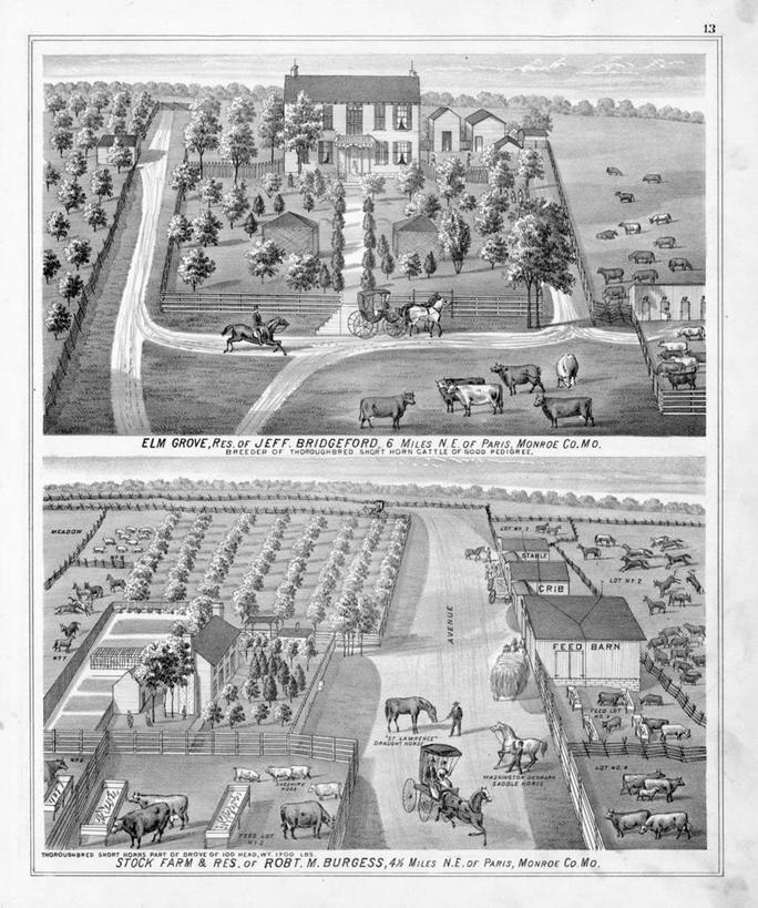 农场,竖图,插画,室外,数码,科技,美景,路,阴影,网络,房屋,景观,田地,高光,几何,计算机图形,合成,图画,历史,画,棚,自然,动物,景色,牲畜,古董,电脑合成图,数码合成图,合成图,自然风光,漫画,写实,具体,具象,密苏里,农舍,彩图,门罗县