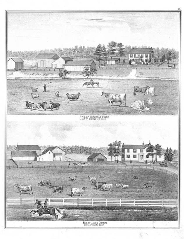 成年人,农场,竖图,美景,景观,田地,历史,自然,家畜,景色,古董,自然风光,俄亥俄州,男人,绵羊,彩图