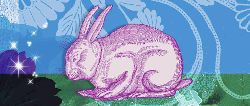 无人,横图,全景,插画,室外,白天,抽象,蒙太奇,数码,科技,阴影,网络,高光,几何,计算机图形,合成,图画,十二生肖,画,粉色,蓝色,自然,动物,电脑合成图,数码合成图,合成图,中国文化,野兔,漫画,计算机制图,家兔,写实,具体,具象,日历,彩图,传统文化