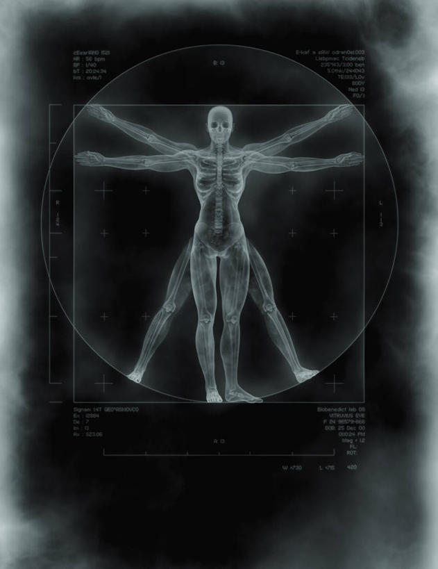 成年人,一个人,举,竖图,插画,正面,数码,科技,仅一个女性,阴影,科学,网络,高光,几何,计算机图形,合成,图画,数码合成,画,模型,托,人体,测量工具,电脑合成图,数码合成图,解剖,合成图,漫画,写实,具体,具象,人体结构,维特鲁威人,女人,举起,举手,举着,向上举,向上伸,向上托,彩图,剖解