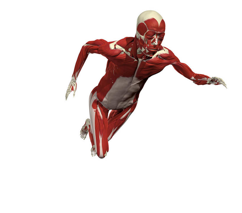 无人,跑,横图,插画,白色背景,数码,科技,阴影,网络,标志,符号,高光,几何,计算机图形,合成,图画,标识,起跑架,画,电脑合成图,数码合成图,合成图,漫画,写实,具体,具象,性别符号,人体结构,彩图,男性符号