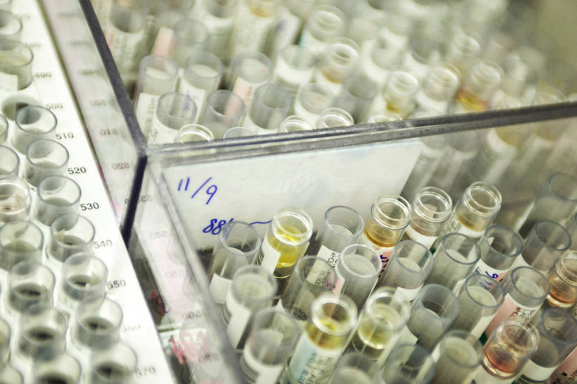 无人,横图,室内,特写,韩国,一排,学习,丰富,研究,整齐,科学,试管,实验室,排列,打开,摄影,部分,开启,队列,验血,彩图,全画面,全框架,全帧,全画幅,对焦