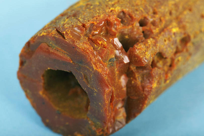 无人,横图,竖图,特写,苏丹,蓝色背景,草药,一个,干花,摄影,单个,部分,恶心,呕吐,腹泻,彩图,影棚拍摄,胃疼,反胃