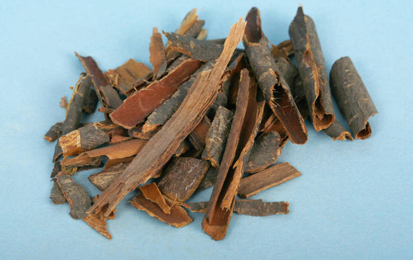 无人,横图,俯视,特写,苏丹,许多,药,蓝色背景,草药,很多,干花,摄影,草本,彩图,高角度拍摄,影棚拍摄