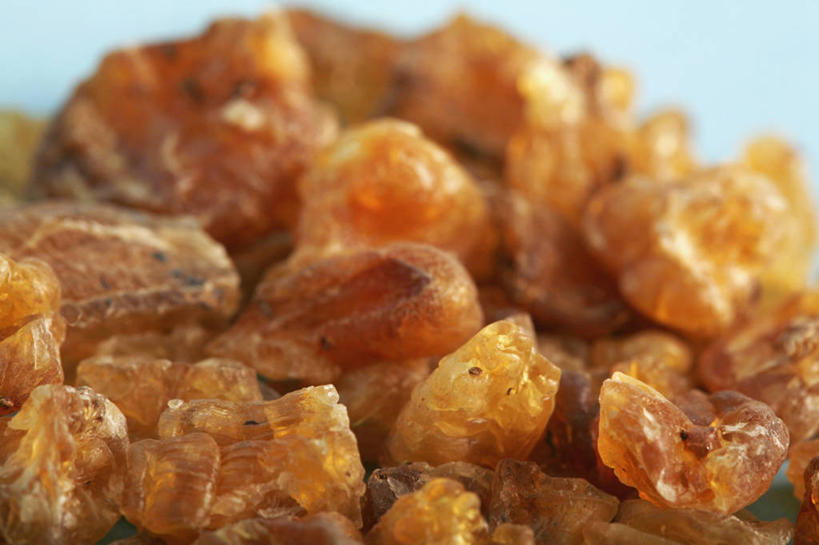 无人,横图,特写,苏丹,许多,药,蓝色背景,草药,很多,干花,摄影,部分,草本,彩图,影棚拍摄