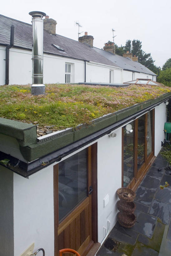 无人,家,竖图,俯视,室外,特写,白天,烟囱,植物,别墅,银,英国,不锈钢,金属,房屋,屋顶,屋子,公寓,草药,药草,洋房,楼房,中药,住宅,摄影,排水沟,生长,景天,药材,中草药,威尔士,循环利用,环境保护,中药材,本草,阳光房,八宝,高尔半岛,彩图,高角度拍摄,房子,水污染,包菜还阳,活血三七