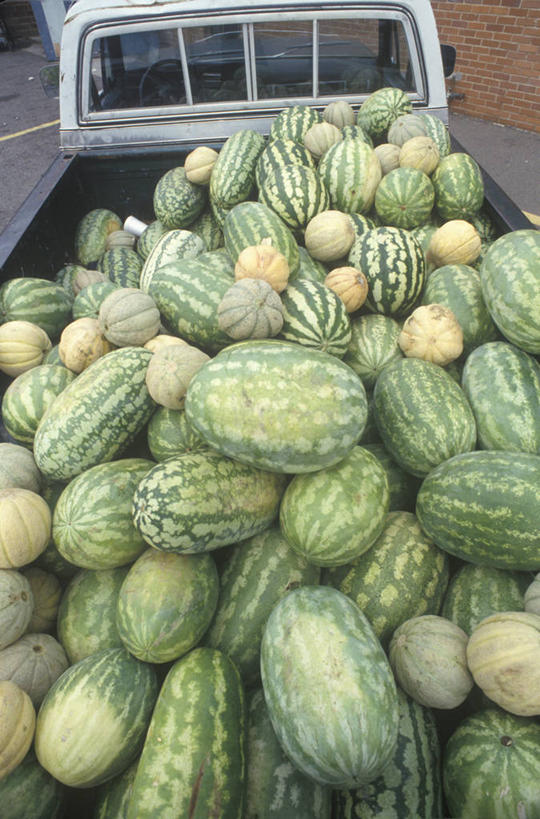 无人,竖图,室外,白天,购物,消费,农业,西瓜,水果,美国,许多,丰富,集市,市场,很多,饮食,金融,运输,摄影,收获,北美,清新,选购,贸易,奥古斯塔,彩图,皮卡车