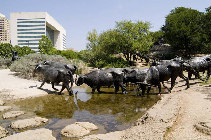 无人,横图,室外,白天,雕塑,美国,雕像,池塘,历史,摄影,北美,北美洲,美洲,美国文化,德克萨斯,达拉斯市,北亚美利加洲,亚美利加洲,野牛,彩图,旅行,美利坚合众国,家牛