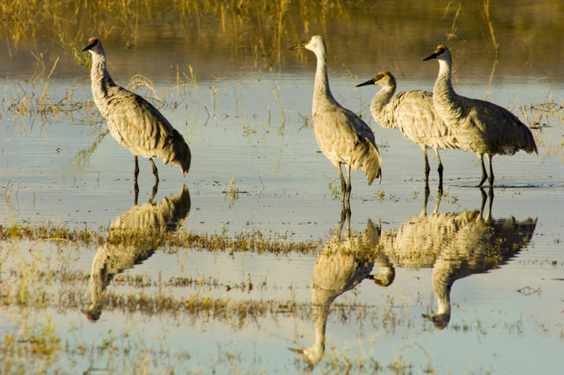 无人,健身房,竖图,室内,英格兰,摄影,假肢,彩图