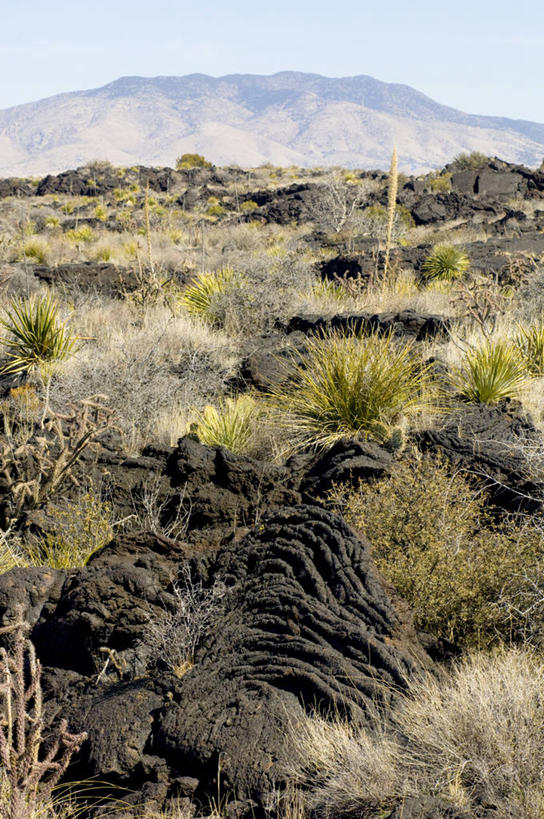 无人,竖图,室外,白天,沙漠,美国,地形,风景,摄影,国家公园,岩层,新墨西哥,岩石,彩图,旅行