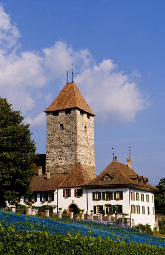 无人,竖图,室外,白天,建筑,瑞士,塔,图恩湖,摄影,因特拉肯,彩图,旅行,传统文化