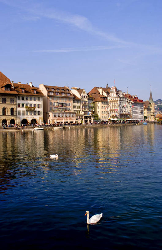 游泳,无人,竖图,室外,白天,度假,美景,城市风光,城市,建筑,野生动物,天鹅,瑞士,景观,娱乐,卢塞恩湖,动物,两只,享受,休闲,景色,放松,摄影,卢塞恩,彩图,旅行