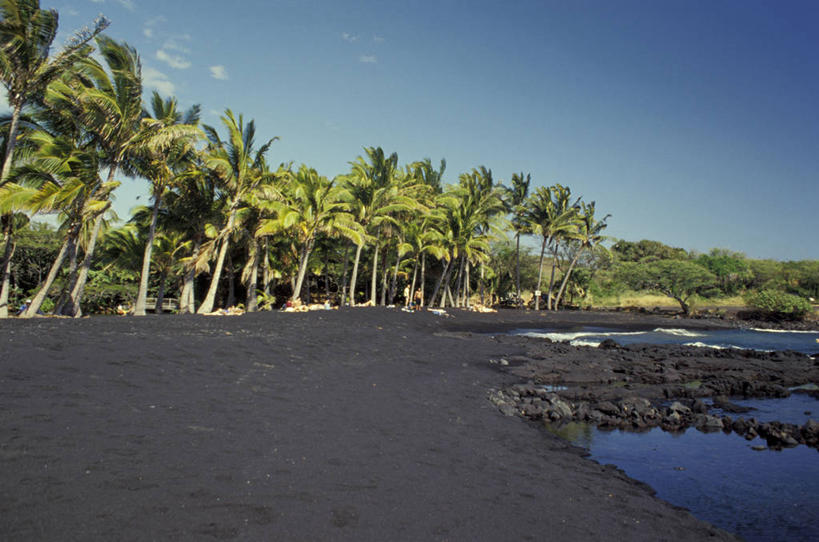 无人,横图,室外,白天,海洋,棕榈树,美国,沙子,风景,摄影,宁静,热带气候,瓦胡岛,夏威夷群岛,太平洋岛屿,海滩,彩图,旅行