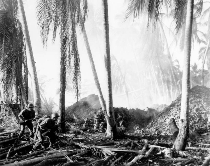 成年人,两个人,横图,室外,白天,棕榈树,日本,士兵,历史,烟,摄影,热带气候,暴力,第二次世界大战,战役,战场,男人,步行,彩图,混沌