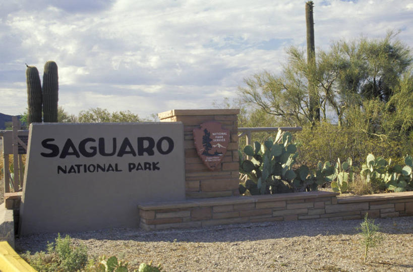 无人,横图,室外,特写,白天,指示牌,仙人掌,美国,入口,标志,文字,标识,树,地标建筑,摄影,英文字母,亚利桑那,北美,北美洲,国家公园,美洲,进口,图森市,亚利桑那州,大峡谷之州,北亚美利加洲,亚美利加洲,萨瓜罗国家公园,皮马县,彩图,美利坚合众国,壁架