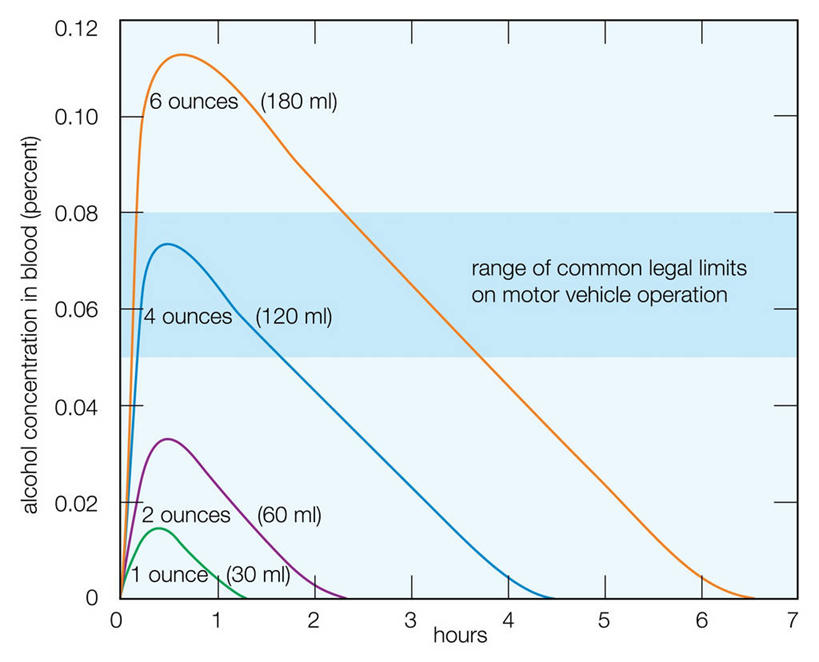 无人,横图,研究,时间,科学,数字,图表,酒类,酒,饮料,血液,英文字母,彩图