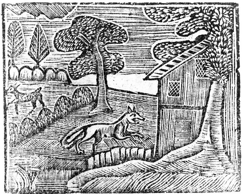 无人,农场,横图,黑白,室外,白天,美景,狗,狐狸,鹿,野生动物,景观,历史,树,自然,动物,两只,景色,自然风光,木版画