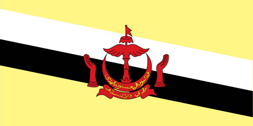 无人,横图,全景,插画,正面,数码,科技,国旗,文莱,阴影,条纹,网络,文字,月亮,缎带,月光,高光,几何,计算机图形,合成,图画,阳伞,画,黄色,红色,黑色,模型,手套,明亮,电脑合成图,数码合成图,合成图,身份,漫画,阿拉伯文,爱国主义,写实,具体,具象,皎洁,盾形徽章,彩图,全画面,全框架,全帧,影棚拍摄,全画幅