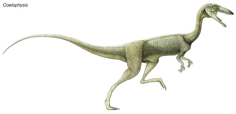 无人,站,横图,全景,插画,白色背景,数码,科技,阴影,网络,高光,几何,计算机图形,合成,图画,画,恐龙,电脑合成图,数码合成图,合成图,漫画,远古,写实,具体,具象,三叠纪,彩图,年代,地质年代,地质时代,时代,显生宙,中生代