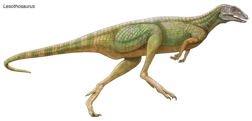 无人,横图,全景,插画,白色背景,数码,科技,阴影,网络,高光,几何,计算机图形,合成,图画,画,恐龙,电脑合成图,数码合成图,合成图,漫画,写实,具体,具象,侏罗纪,步行,彩图