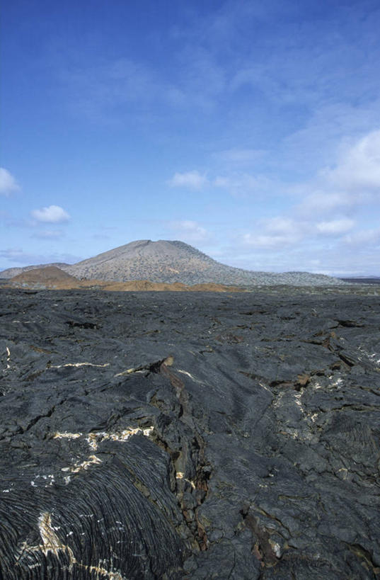 竖图,室外,白天,火山,巴西,萨尔瓦多,厄瓜多尔,地标建筑,熔岩,南美,摄影,南美洲,拉丁美洲,美洲,巴西联邦共和国,肌理,首府,亚美利加洲,南亚美利加洲,火成岩,巴伊亚,巴伊亚州,加拉帕戈斯群岛,地质学,自然地理,彩图