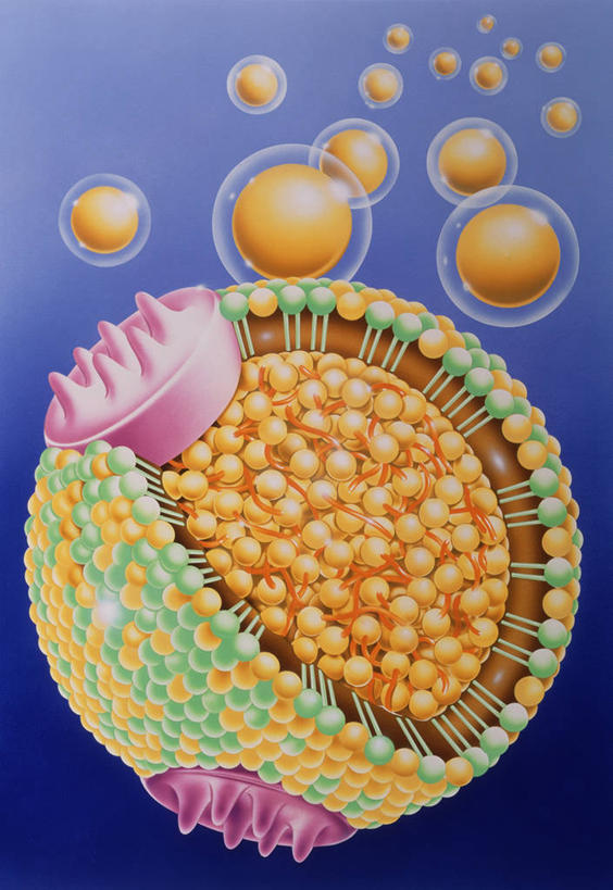 无人,竖图,插画,室内,白天,正面,数码,科技,阴影,蓝色背景,网络,图形,高光,几何,计算机图形,合成,图画,画,粉色,黄色,绿色,球体,电脑合成图,数码合成图,合成图,数学,漫画,写实,具体,具象,胆固醇,低密度脂蛋白,脂蛋白,彩图,几何图形,立体几何,立体图形,胆甾醇,类固醇