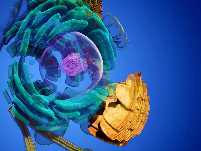 无人,横图,插画,室内,白天,正面,数码,科技,微生物,阴影,蓝色背景,科学,网络,基因,血球,医学,细胞,高光,几何,计算机图形,合成,图画,画,生物,遗传,电脑合成图,数码合成图,细胞器,生物学,脱氧核糖核酸,血细胞,合成图,漫画,写实,具体,具象,DNA分子,去氧核糖核酸,遗传信息,遗传因子,遗传学,内质网,细胞质,真核细胞,彩图,高尔基复合体,高尔基器,高尔基体,真核,胞浆