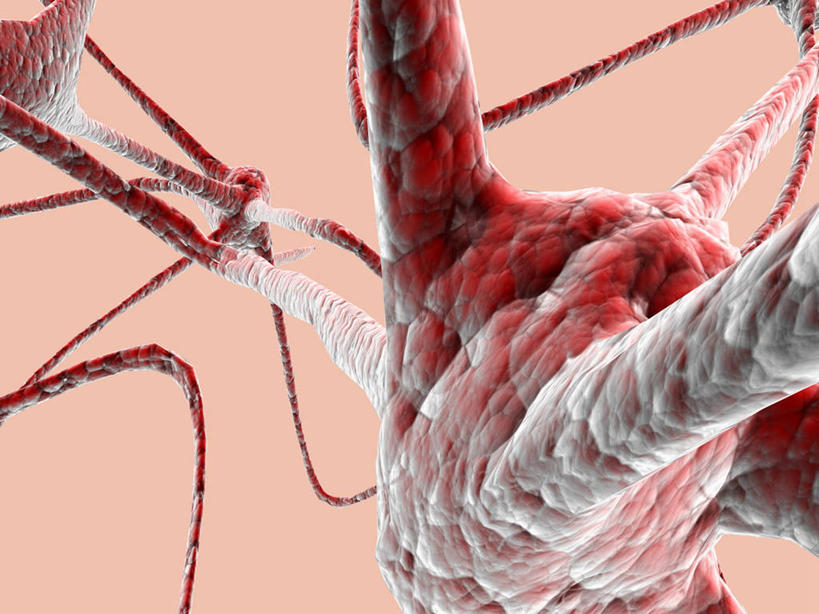 无人,横图,室内,白天,正面,仪器,微生物,检查,反射,分析,科学,医学,细胞,显微镜,观察,清晰,探索,放大,观看,仔细,透镜,生物学,凸透镜,聚焦,关注,神经元,光学,清楚,树突,神经细胞,显微图片,细胞突起,彩图