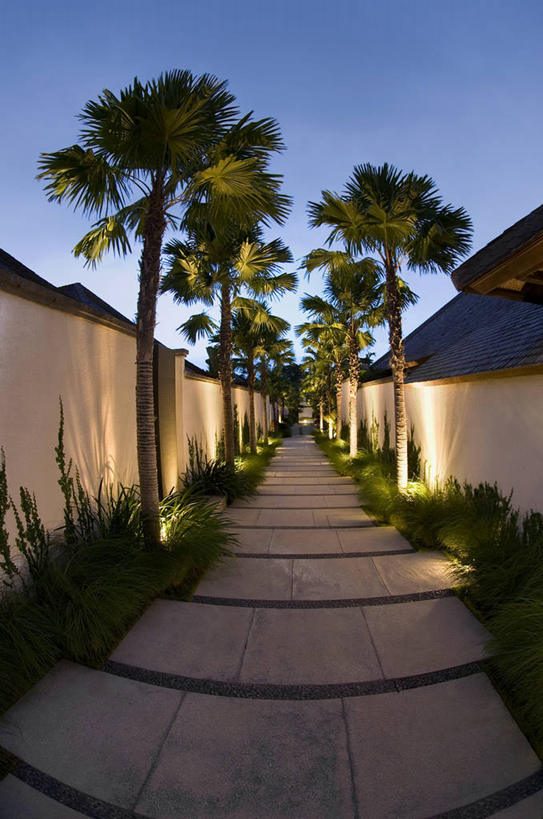 无人,横图,室外,印度尼西亚,亚洲,对称,地形,草,绿色,黄昏,平衡