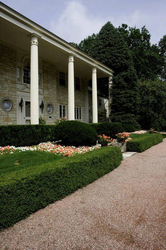 珊瑚,车道,白色,夏天,门廊,景观设计