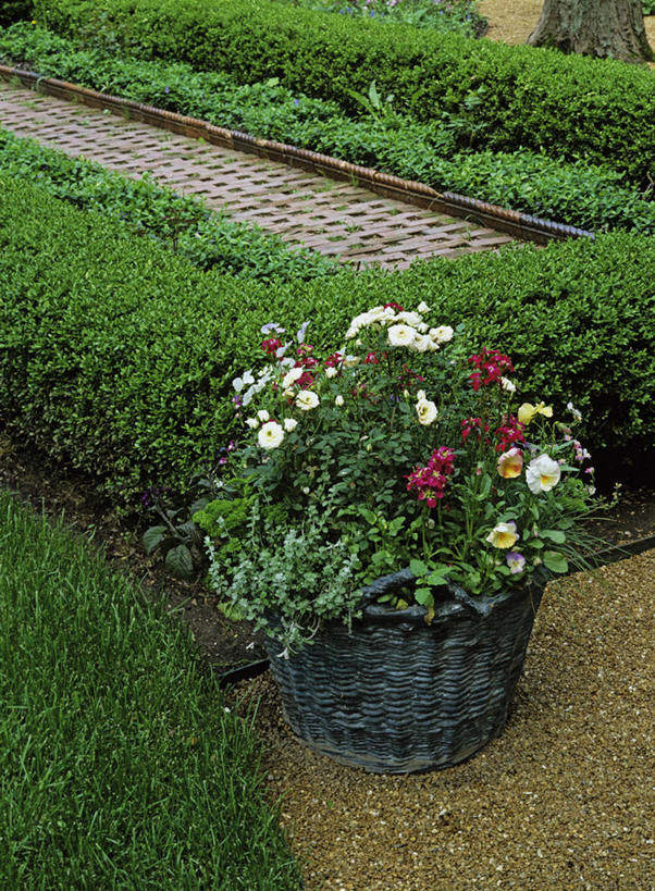 室外,篮子,砖,花,夏天,鹅卵石,修指甲,沙砾,黄杨木,景观设计