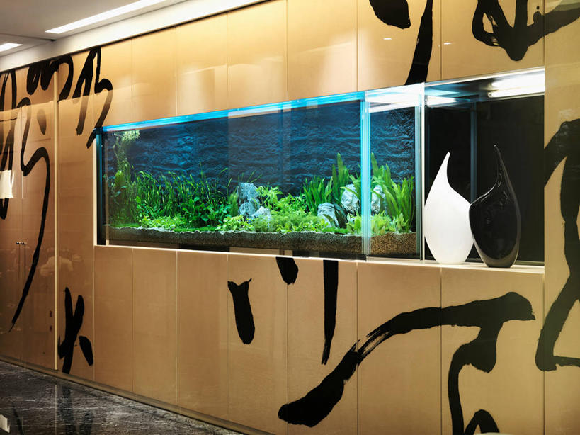 无人,家,横图,室内,建筑,宠物,台湾,亚洲,装饰,房屋,鱼缸,干净,现代,大厅,水族馆,装饰物,建造,台北,当代,门廊