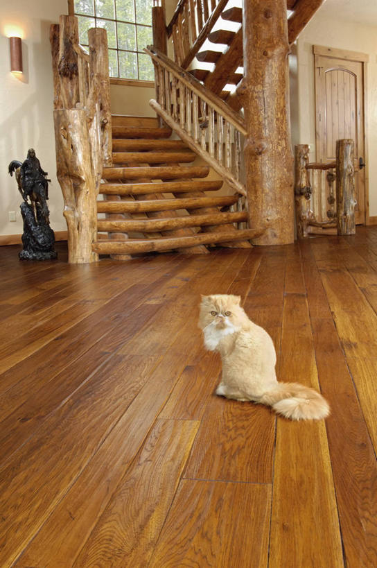 无人,竖图,室内,白天,建材,地板,楼梯,建筑,日光,美国,材料,木板,木材,地面,木地板,木柴,建造,木料,北美,圆木,建筑材料,科罗拉多州,硬木