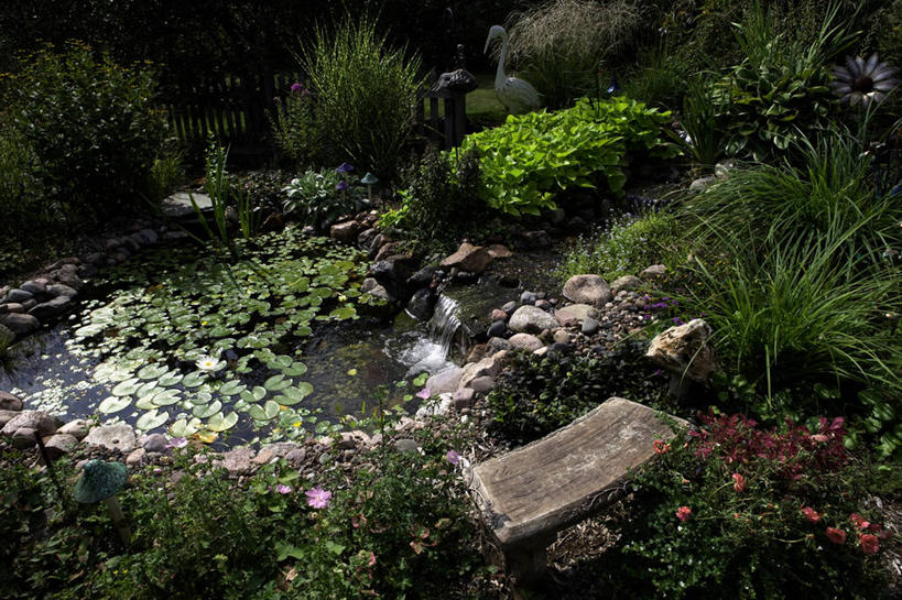 横图,室外,瀑布,长椅,夏天,多年生植物