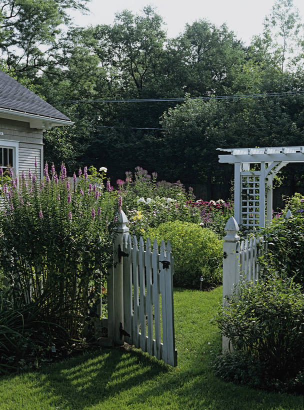 家,栏杆,别墅,大门,房屋,屋子,篱笆,公寓,围栏,洋房,护栏,楼房,住宅,花,树,绿色,白色,夏天,着色,击剑,房子
