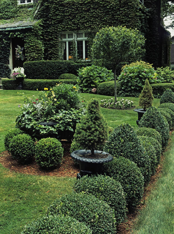 家,室外,骄傲,草坪,八仙花,叶子,房屋,常春藤,英格兰,花,树,粉色,绿色,黑色,夏天,绣球花,修指甲,灌木,紫阳花,洋绣球,草绣球,斗球,七变化,粉团花,善变,黄杨木,树篱,景观设计