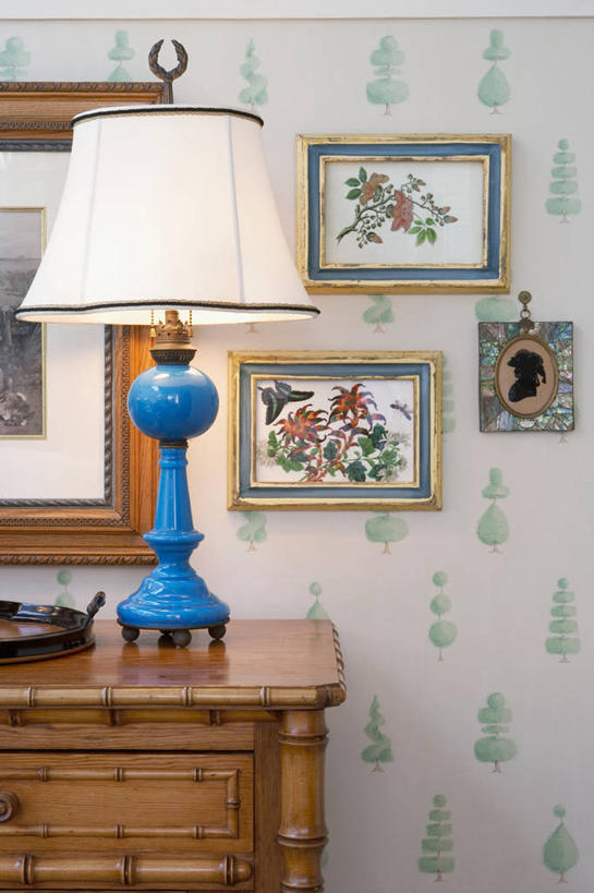 竖图,壁纸,鲍鱼