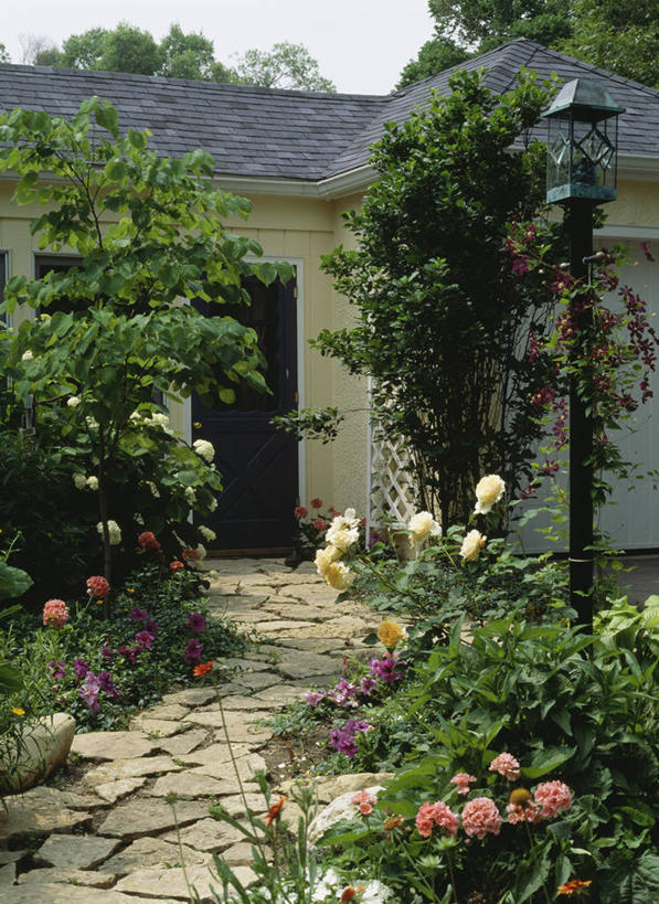 家,竖图,别墅,门,建筑,房屋,屋顶,屋子,公寓,铁线莲,洋房,楼房,住宅,绿色,房子