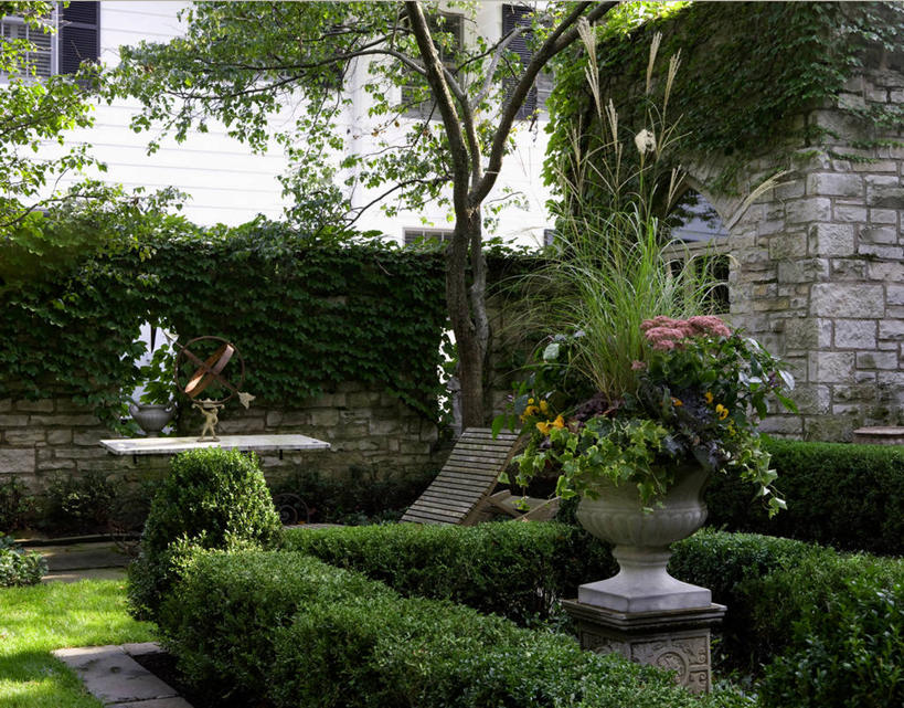 横图,室外,植物,桌子,篱笆,常春藤,草药,药草,中药,景天,药材,中草药,三色紫罗兰,中药材,本草,八宝,秋天,包菜还阳,活血三七