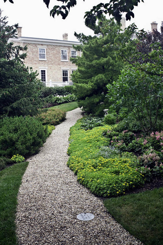 植物,虎耳草,草药,药草,中药,夏天,药材,中草药,坚持,中药材,本草,持续,石荷叶,老虎草,金线吊芙蓉,金丝荷叶