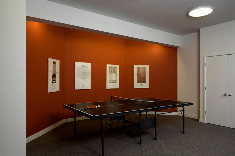 横图,游戏,地毯,红色,白色,黑色,灰色,明亮,起居室