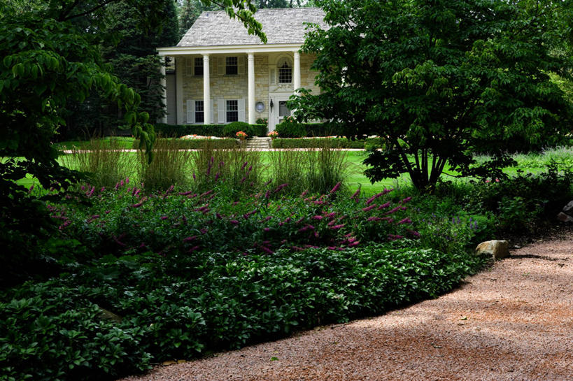 横图,车道,夏天,门廊,景观设计