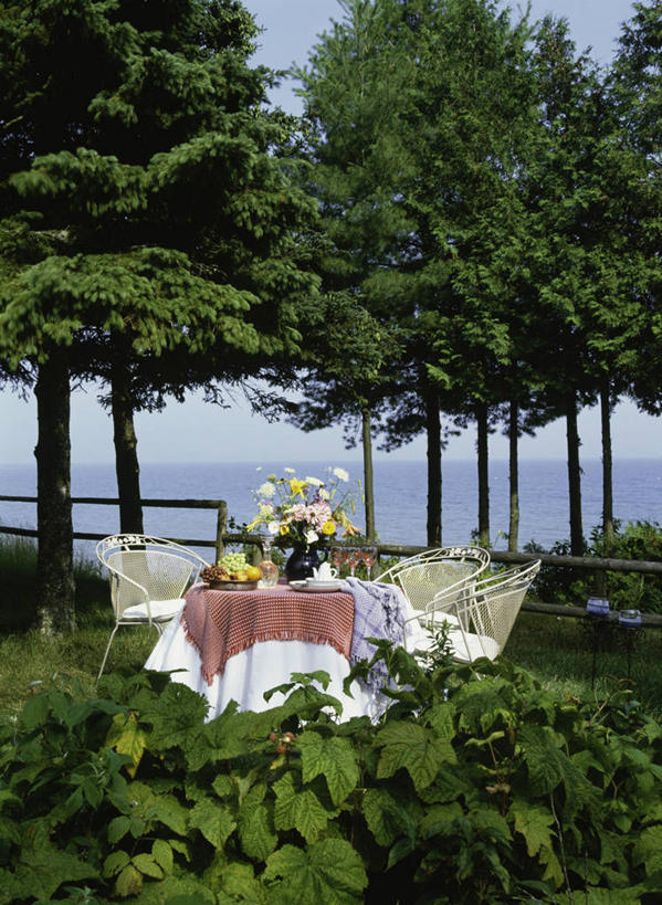 栏杆,白天,海洋,水,餐桌,桌子,花瓶,水果,丰富,草,绿色,盘子,毛巾,碗,宁静