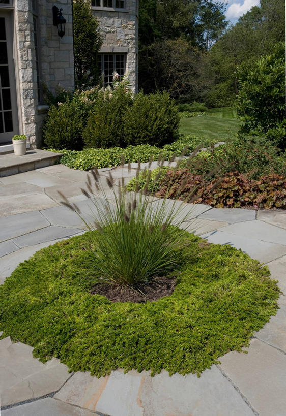 室外,院子,夏天,石灰石,多年生植物,景观设计