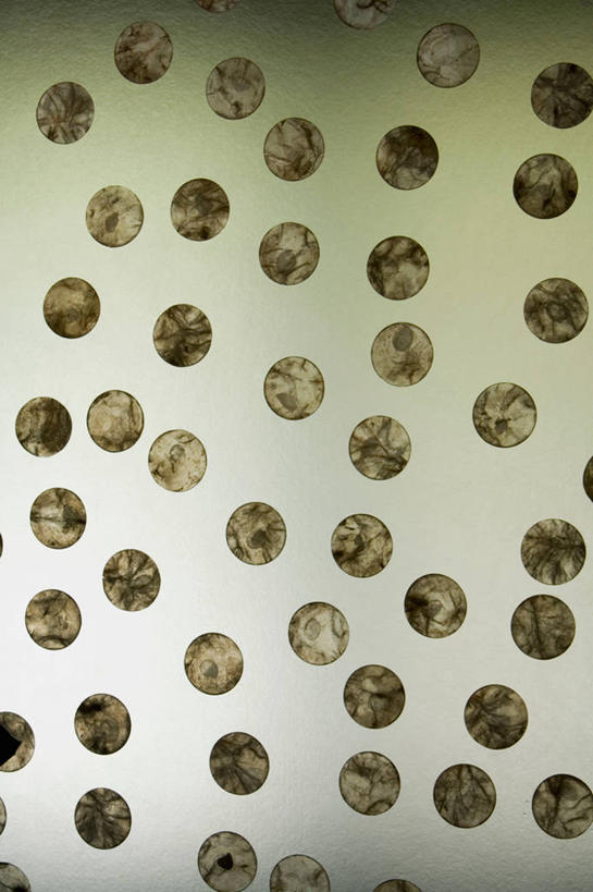 无人,家,竖图,照片,室内,特写,浴室,建筑,玻璃,美国,淋浴,材料,浴盆,建造,北美,种植园,瓦胡岛,当代